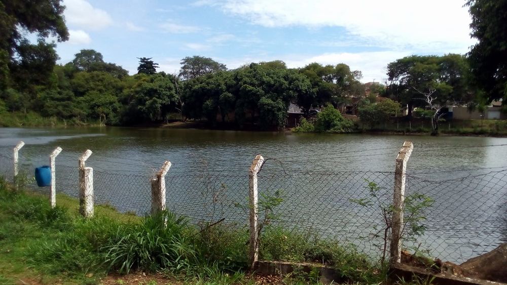 A lagoa do Luizote antes da obra: cerca de arame velha e mato na margem